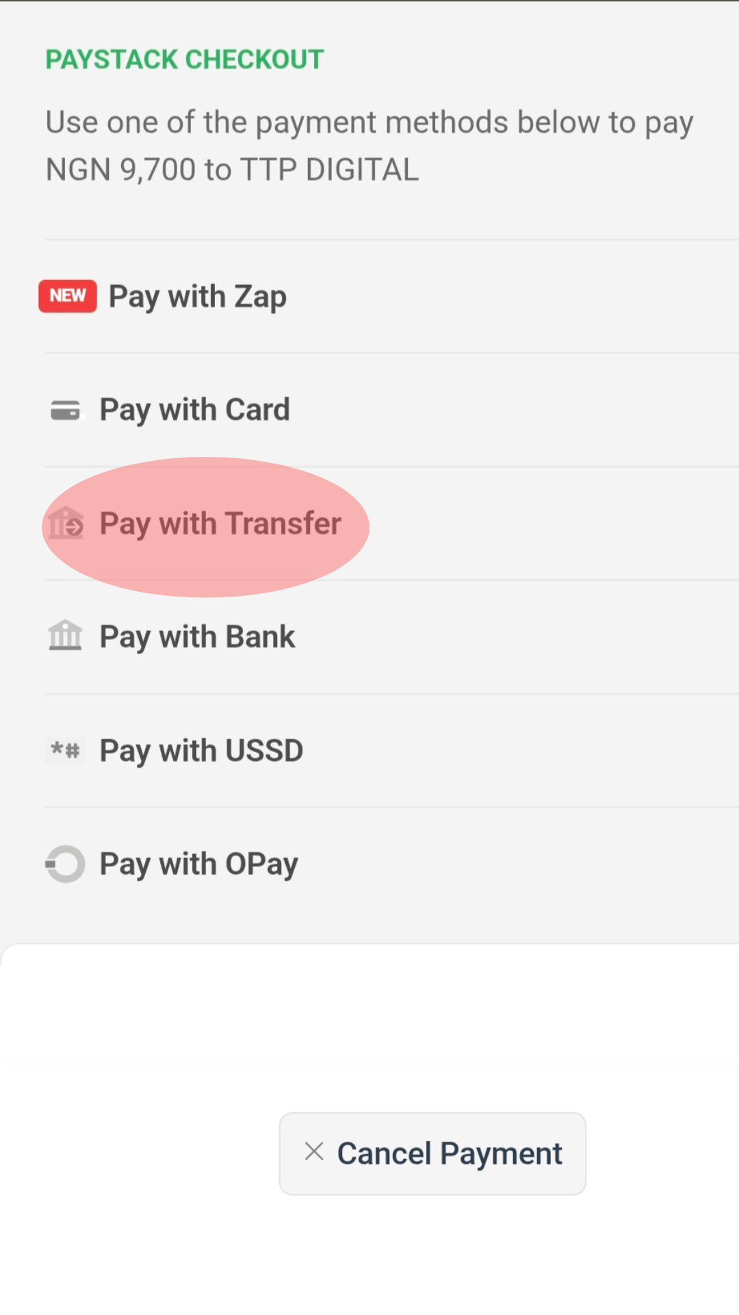 Step 2: Click Pay With Transfer
